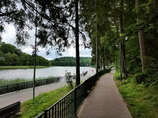 Seaside Chill and Forest Vibes in Svetlogorsk