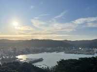 🏞️ Mount Victoria Lookout｜Wellington 城市與海港的天然畫框