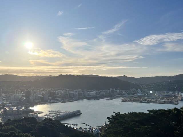 🏞️ Mount Victoria Lookout｜Wellington 城市與海港的天然畫框