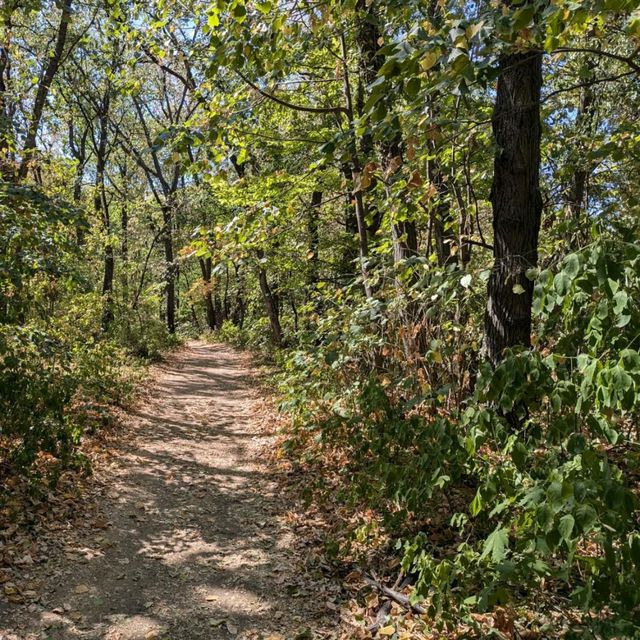 Trekking Through Fruška Gora