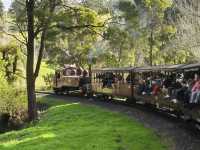 Puffing Billy Railway: A Centenary Steam Train Experience in Melbourne! 🚂🌳