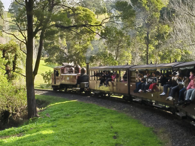 Puffing Billy Railway: A Centenary Steam Train Experience in Melbourne! 🚂🌳