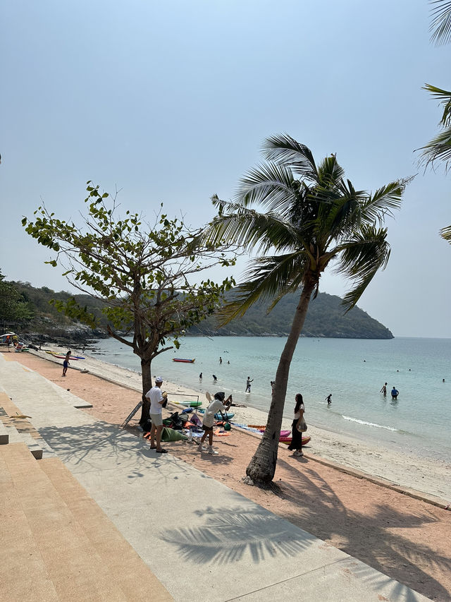 รีวิวทริปหนีกรุง: เกาะสีชัง 2 วัน 1 คืน 🐚🌴🪼🌊