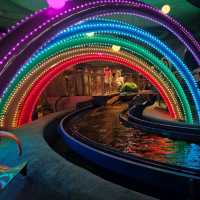 롯데월드 (Lotte World Adventure)