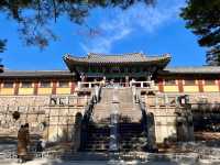 古都慶州一日遊（釜山出發）