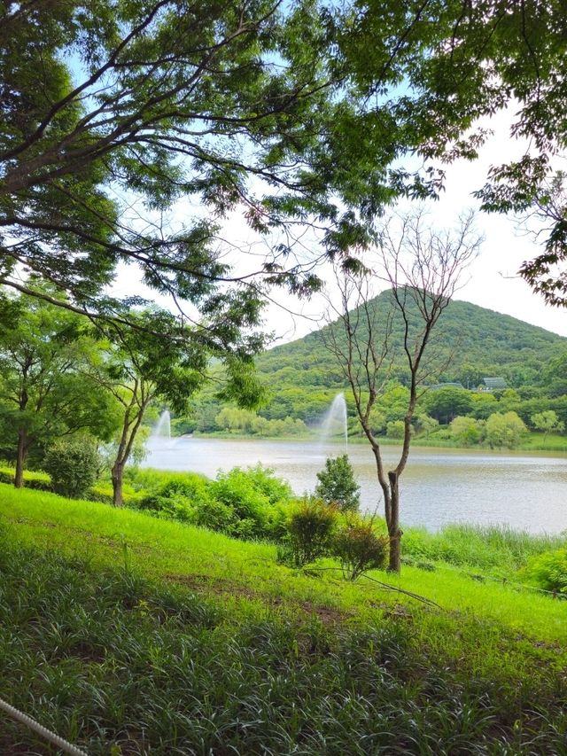인천 장수동 인천대공원 봄 여름