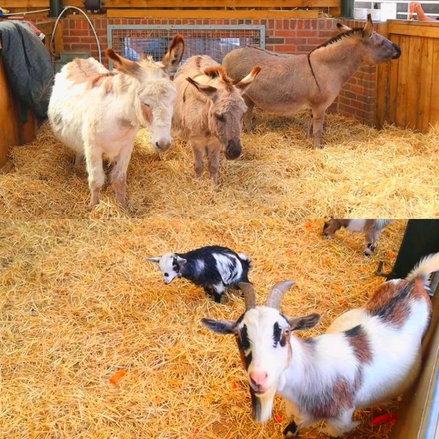 Reddish Vale Farm