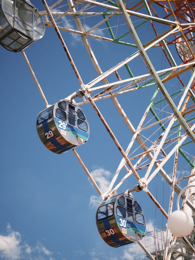 🎢 Fuji-Q Highland – หวีดให้สุด แล้วหยุดที่วิวฟูจิ