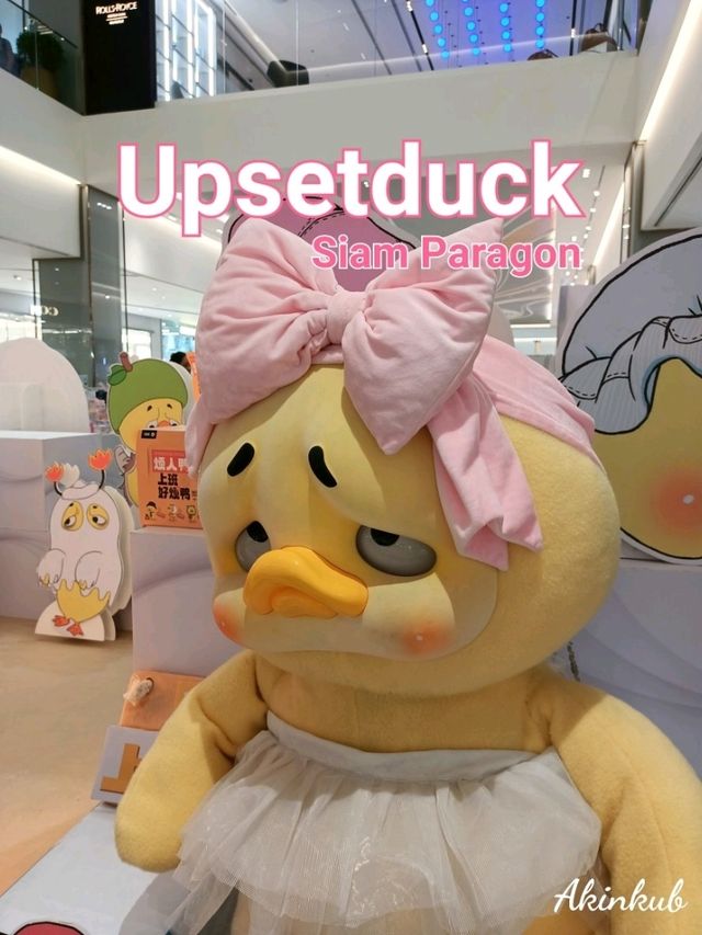 น้องเป็ดสีเหลืองสุดฮิต น่ารั๊ก