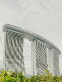 🌿 Gardens by the Bay — Daylight Dreamscape in the Heart of the Bay