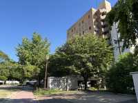 博多街角綠意：冷泉公園散策指南