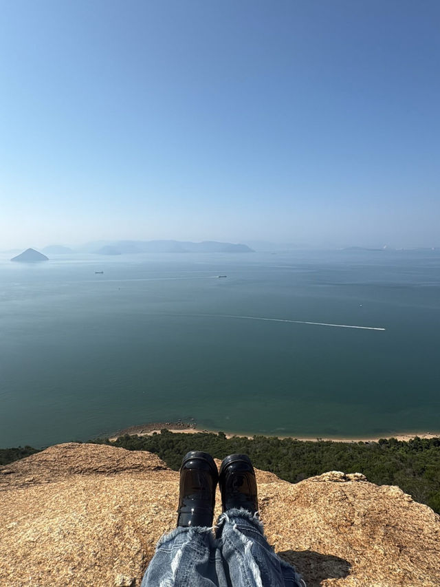 🌿【牛窓オリーブ園】“日本のエーゲ海”で過ごす、癒しと絶景のオリーブ旅