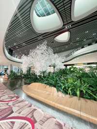 ✨A Layover That Felt Like a Vacation – My Amazing Experience at Changi Airport ✨