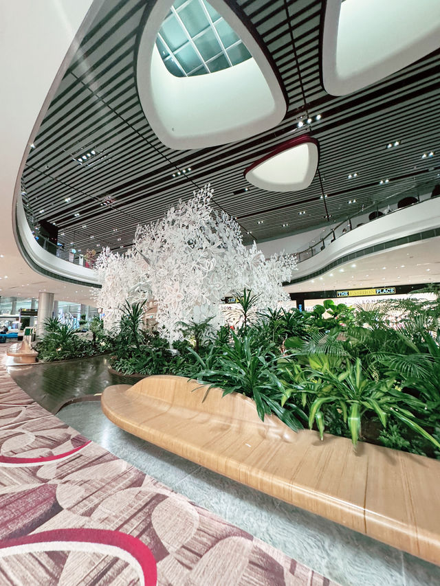 ✨A Layover That Felt Like a Vacation – My Amazing Experience at Changi Airport ✨