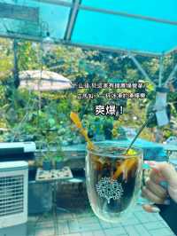 又健康又可以影相裝逼 仲唔去？｜新手爬山攻略｜香港千島湖