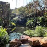 🌿 Escape into Nature at Qingxiu Mountain, Nanning (南宁青秀山)
