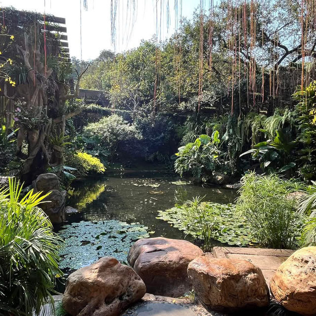 🌿 Escape into Nature at Qingxiu Mountain, Nanning (南宁青秀山)