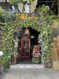 JUNGLE COFFEE