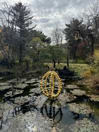 ๊ณ์ ์ด ๋ด๊ธด ์๋ฆ๋ค์ด ์ ์ & ํธ์๋ฏธ์ ๊ด & ๊ท์ฌ์ด ํ๋ค๋ฅผ ๋ณผ ์ ์๋ ์ฉ์ธ ์๋ฒ๋๋ ํ๋ค์๋