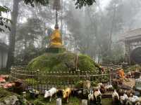 ดอยช้างมูบ เชียงราย 