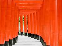 🌸🇯🇵 Hinoki Land เชียงใหม่ 🌸🇯🇵