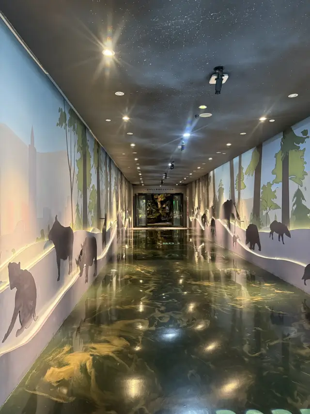 隱藏的珍寶：成都熊貓基地的熊貓博物館