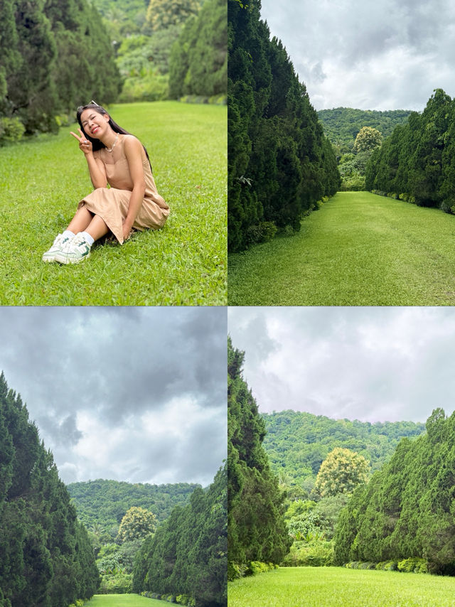 ค่าเฟ่ดังในเชียงใหม่ ฟิลเหมือนอยู่ต่างประเทศ