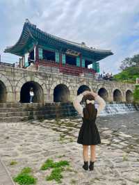 🌿 수원 화성 나들이, 여름에도 좋더라🏯☀️
