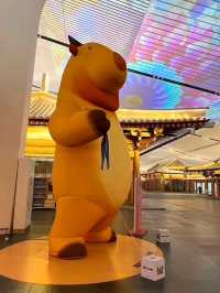 Xi’ an xianyang international airport