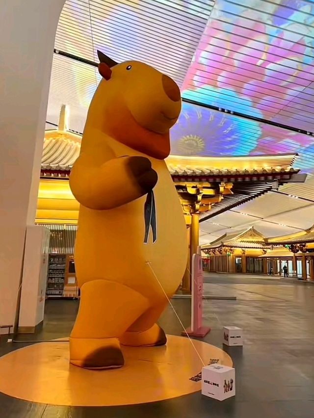 Xi’ an xianyang international airport