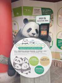 海洋公園一日遊 ｜熊貓寶寶超可愛🐼