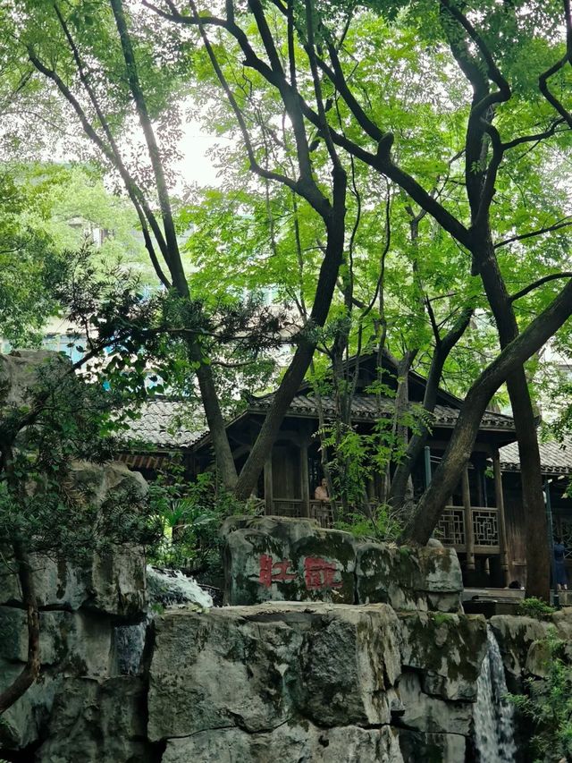 天然氧吧—武陵山國家森林公園—一秒穿越原始叢林的秘境