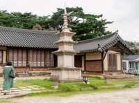 [경주] 서출지 & 통일전, 여유로운 여름 산책 🌿