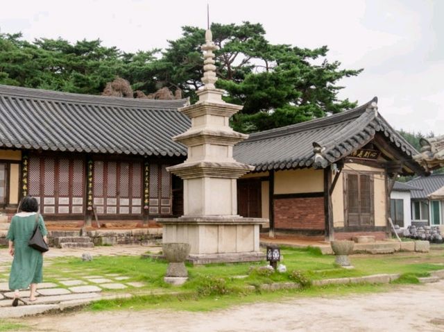 [경주] 서출지 & 통일전, 여유로운 여름 산책 🌿