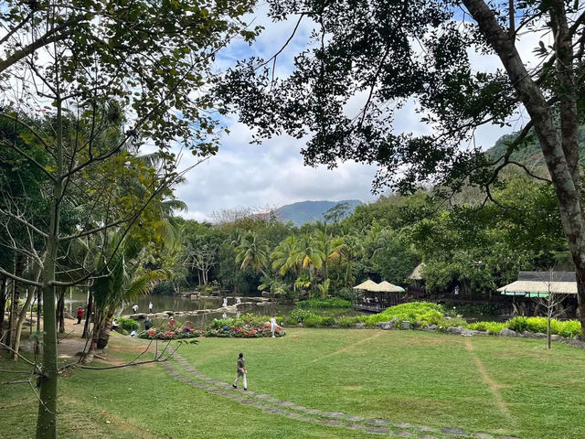 🌿 Yanoda — Hainan’s Tropical Rainforest Wonderland