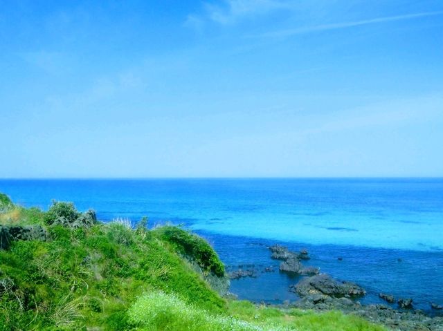 ソウルから気軽にいける韓国のハワイ、チェジュ島