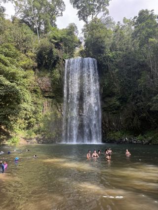 Cairns🇦🇺 Atherton Tablelands Waterfall Tour🌳💦