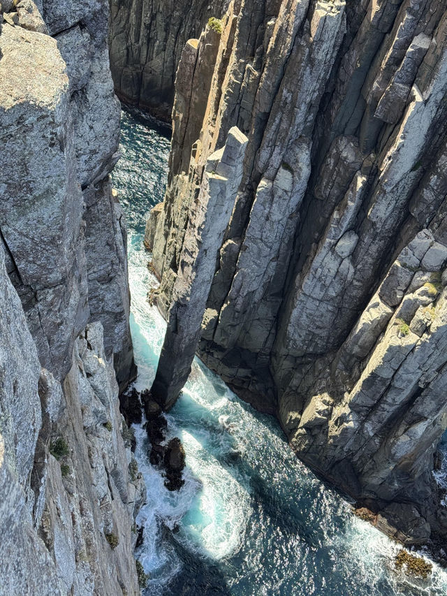 【Cape Hauy｜塔斯馬尼亞海岸的壯麗懸崖】