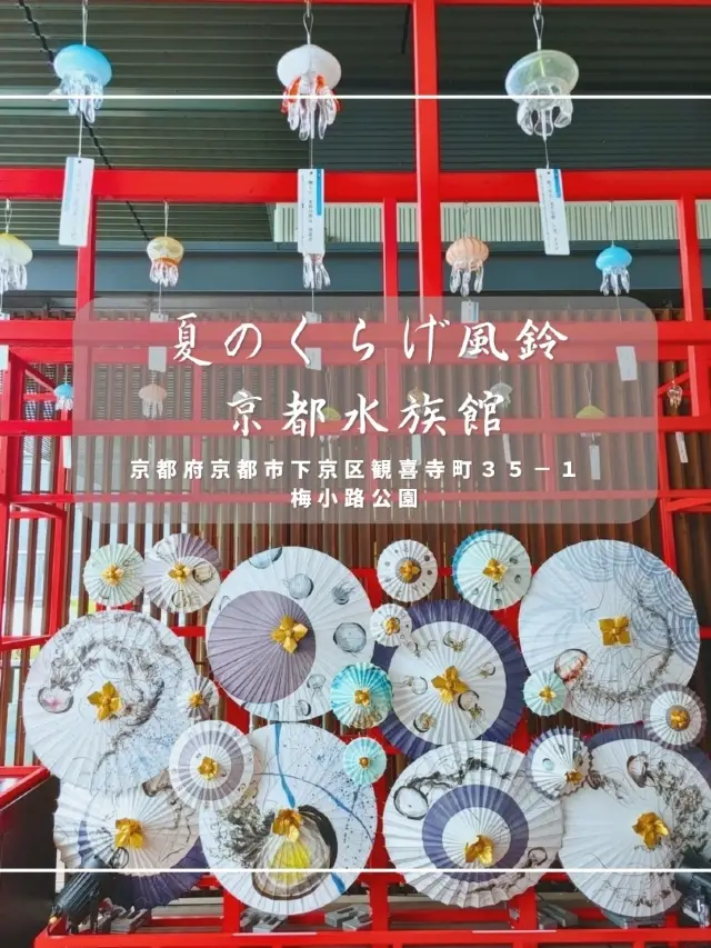 夏の京都水族館　くらげ風鈴