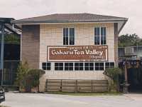 Gaharu Tea Valley – The Fragrant Forest Escape ✨🌿