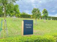 Wellness Garden: A Breath of Calm at Eco Majestic 