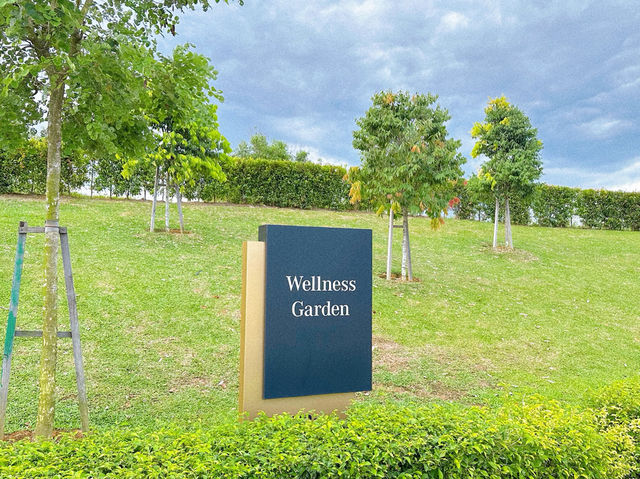 Wellness Garden: A Breath of Calm at Eco Majestic 