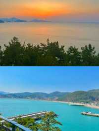 🌊 제주 동쪽에서의 소중한 추억들 🌿