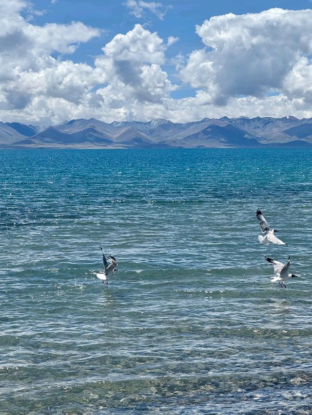 High Altitude, Higher Beauty: Namtso Awaits