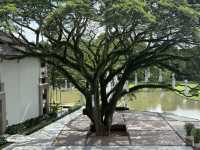 🌳โรงแรม เลอ เมอริเดียน พักผ่อนริมแม่น้ำกก
