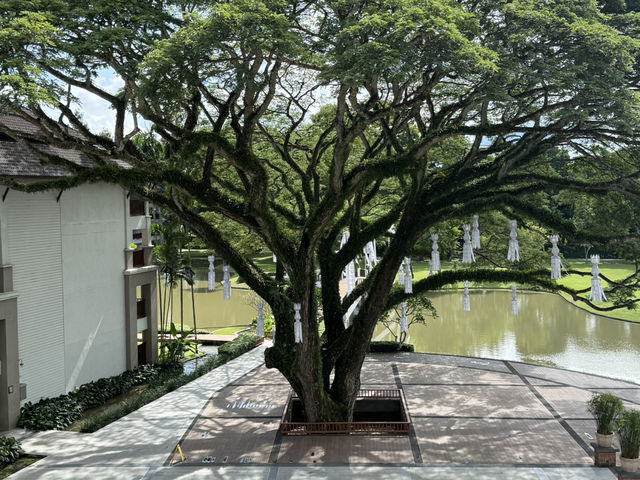 🌳โรงแรม เลอ เมอริเดียน พักผ่อนริมแม่น้ำกก