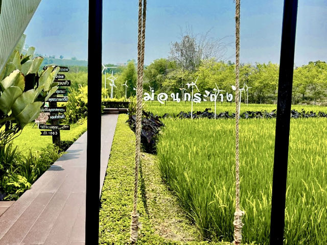 “ม่อนกระถาง” — คาเฟ่บรรยากาศดีริมทุ่งนา