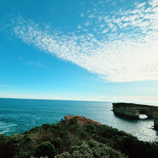 お一人向けグレートオーシャンロード（Great Ocean Road）の日帰りツアー比較