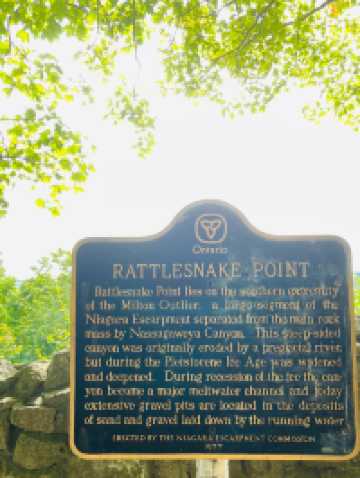 Rattlesnake Point Conservation Area – Clifftop Views and Rugged Trails