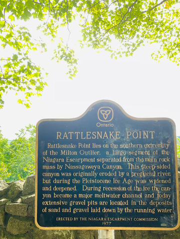 Rattlesnake Point Conservation Area – Clifftop Views and Rugged Trails Rattlesnake Point Conservation Area – Clifftop Views and Rugged Trails